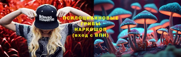 дживик Магас